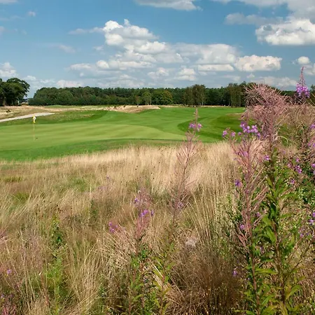 Stalen Boshuis * 奥斯特豪特