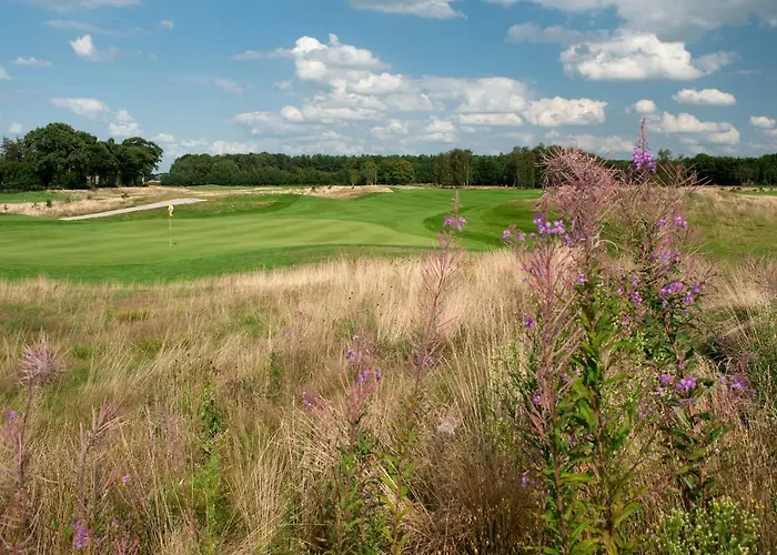 Stalen Boshuis * Oosterhout (North Brabant)